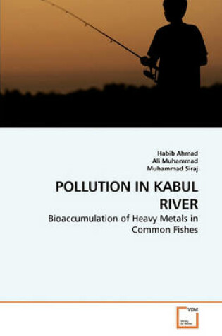 Cover of Pollution in Kabul River