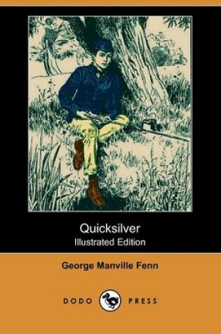 Cover of Quicksilver(Dodo Press)