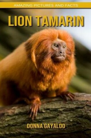 Cover of Lion Tamarin