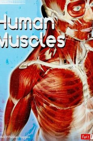 Cover of Human Muscles