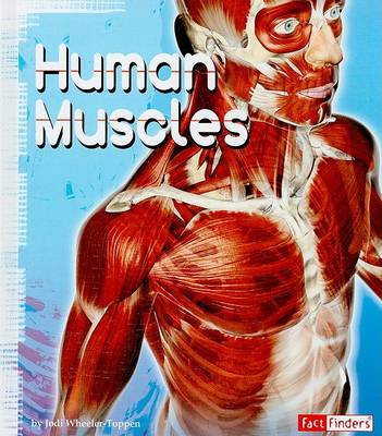 Cover of Human Muscles