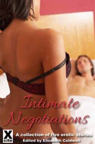 Cover of Intimate Negotiations