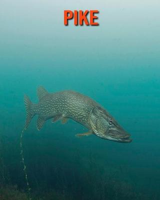 Book cover for Pike