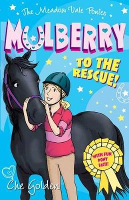 Book cover for The Meadow Vale Ponies: Mulberry to the Rescue!