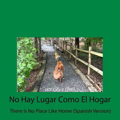 Book cover for There Is No Place Like Home (Spanish Version)