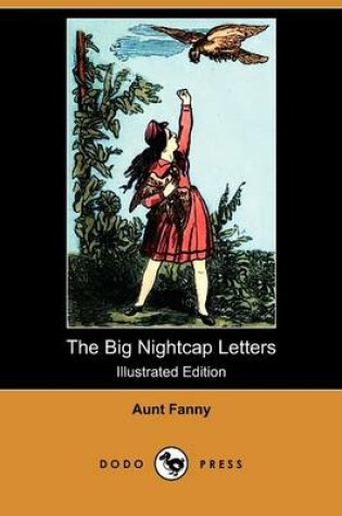 Cover of The Big Nightcap Letters(Dodo Press)