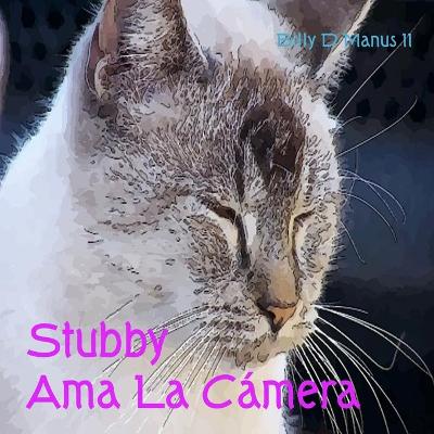 Book cover for Stubby Ama La Cámara