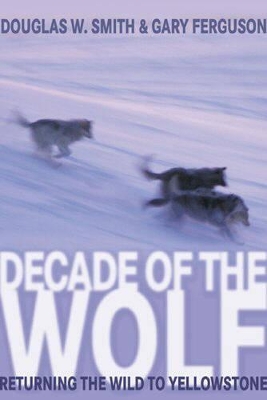 Book cover for Decade of the Wolf