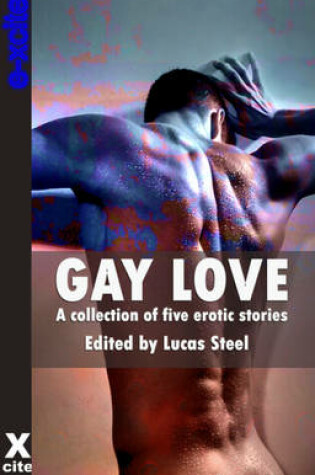 Cover of Gay Love