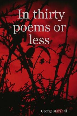 Cover of In Thirty Poems or Less