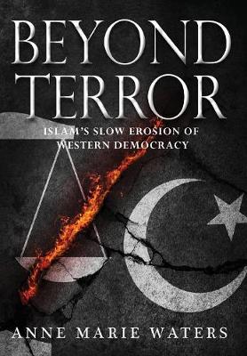 Book cover for Beyond Terror