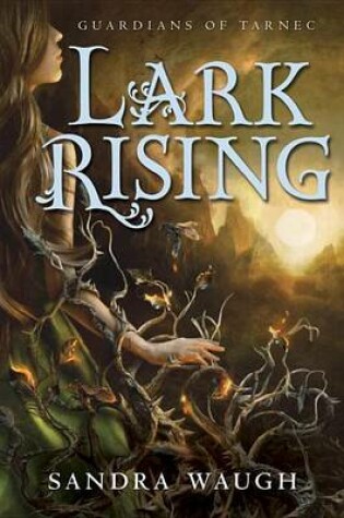 Cover of Lark Rising