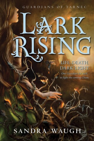 Lark Rising by Sandra Waugh