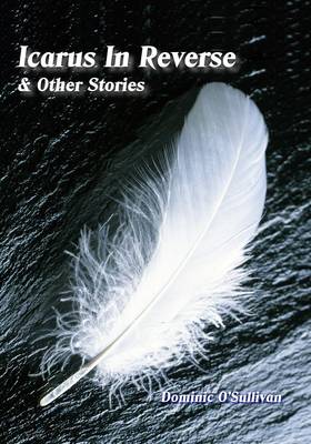 Book cover for Icarus in Reverse & Other Stories