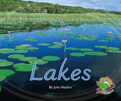 Book cover for Lakes