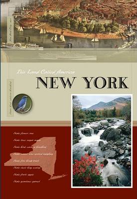 Book cover for New York