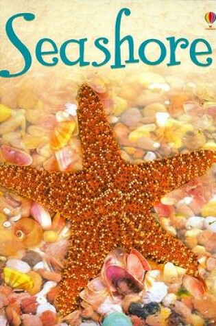 Cover of Seashore