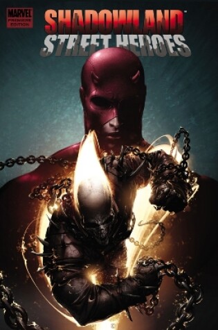 Cover of Shadowland: Thunderbolts