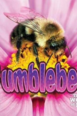 Cover of Bumblebees