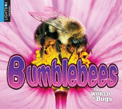 Book cover for Bumblebees