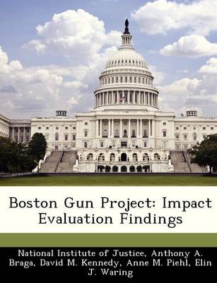 Book cover for Boston Gun Project
