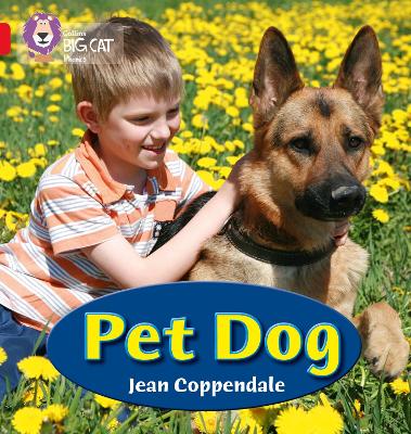 Book cover for PET DOG