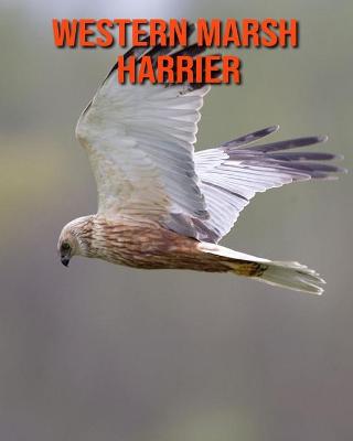 Book cover for Western Marsh Harrier