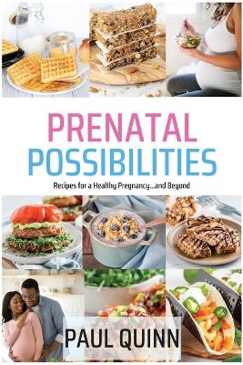 Book cover for Prenatal Possibilities