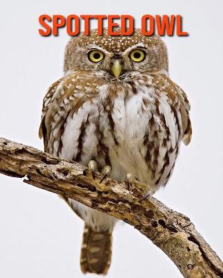 Book cover for Spotted Owl