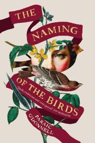 Cover of The Naming of the Birds