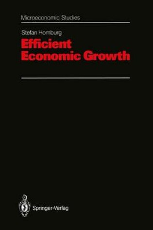 Cover of Efficient Economic Growth