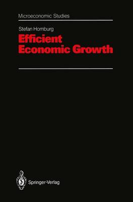 Book cover for Efficient Economic Growth