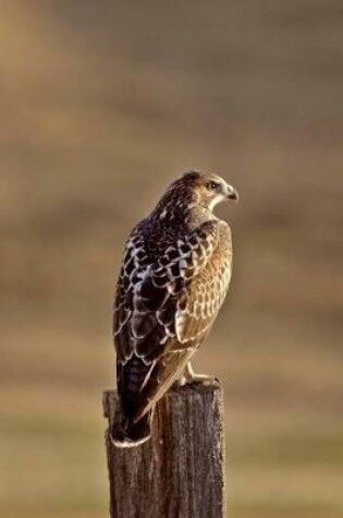 Cover of Swainson's Hawk Journal