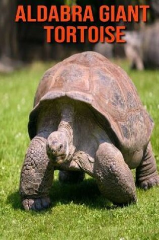 Cover of Aldabra Giant Tortoise