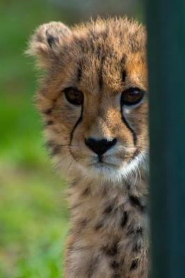 Book cover for Cute Little Cheetah Looking at You Journal