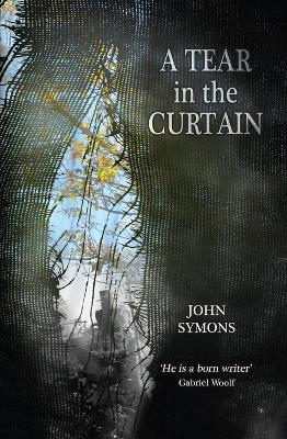 Book cover for A Tear in the Curtain