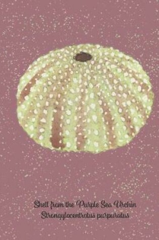 Cover of Shell from the Purple Sea Urchin Strongylocentrotus purpuratus