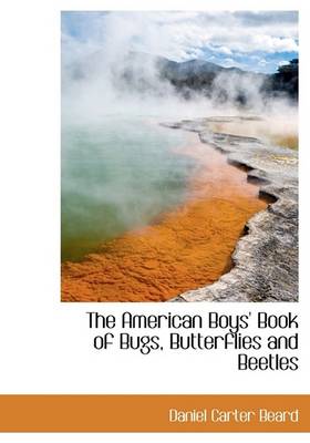 Book cover for The American Boys' Book of Bugs, Butterflies and Beetles