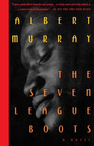 Book cover for The Seven League Boots