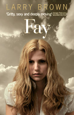 Book cover for Fay
