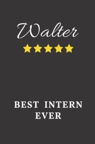 Cover of Walter Best Intern Ever