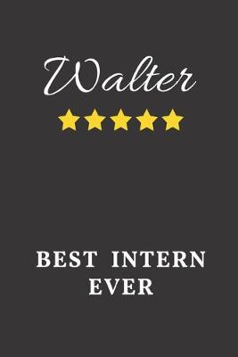 Book cover for Walter Best Intern Ever