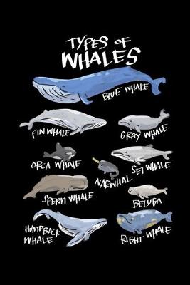 Book cover for Types Of Whales Blue Whale Fin Whale Grey Whale Orca Whale Set Whale Narwhal Sperm Whale Beluga Humpback Whale Right Whale