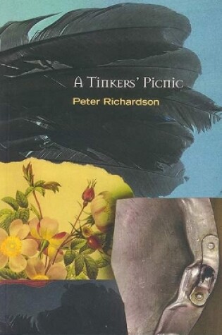 Cover of A Tinker's Picnic