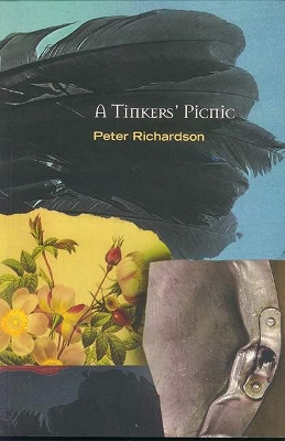 Book cover for A Tinker's Picnic