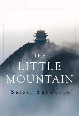 Book cover for The Little Mountain