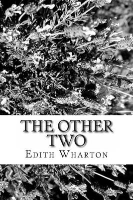 Book cover for The Other Two