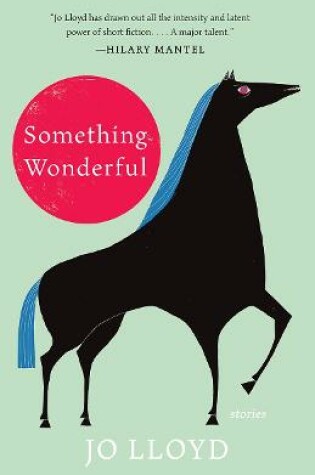 Cover of Something Wonderful