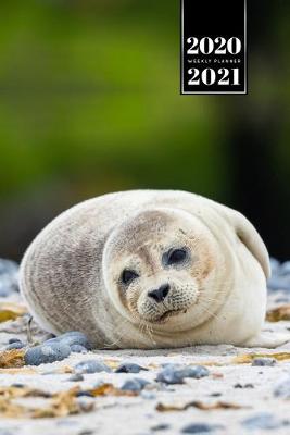 Book cover for Seal Manatee Sea Lion Cow Walrus Dugong Week Planner Weekly Organizer Calendar 2020 / 2021 - Relax a Little