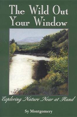 Book cover for Wild Out Your Window